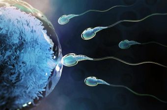 PERÍODO FÉRTIL PARA ENGRAVIDAR