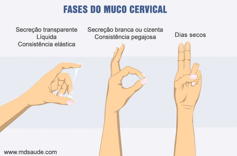 Sua vagina está com cheiro estranho…?