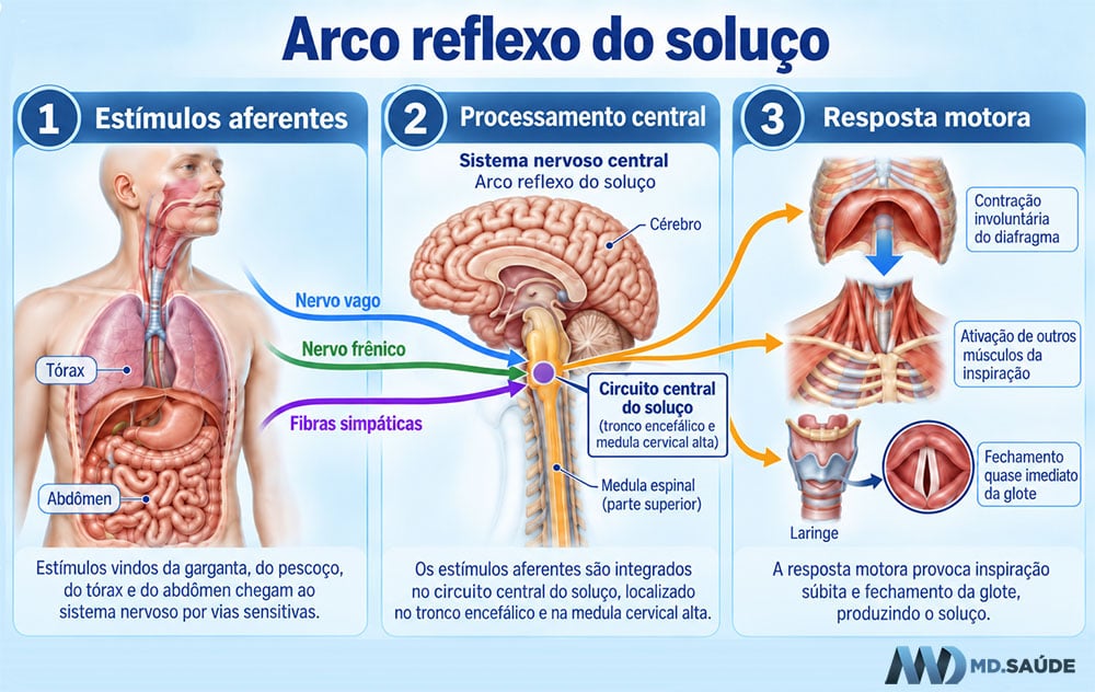 Arco reflexo do soluço