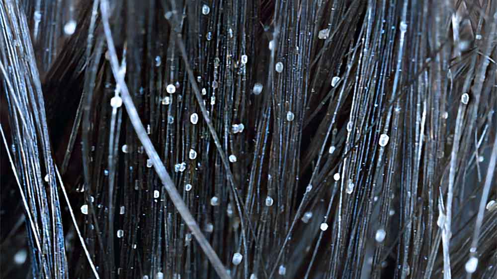 Pontas do cabelo preto isoladas no branco.