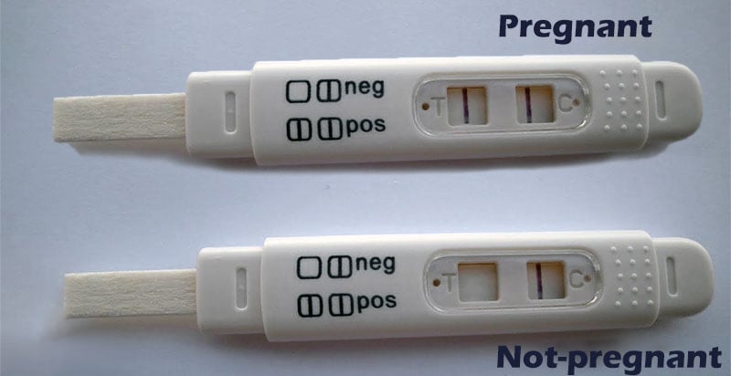 Over-the-counter pregnancy test