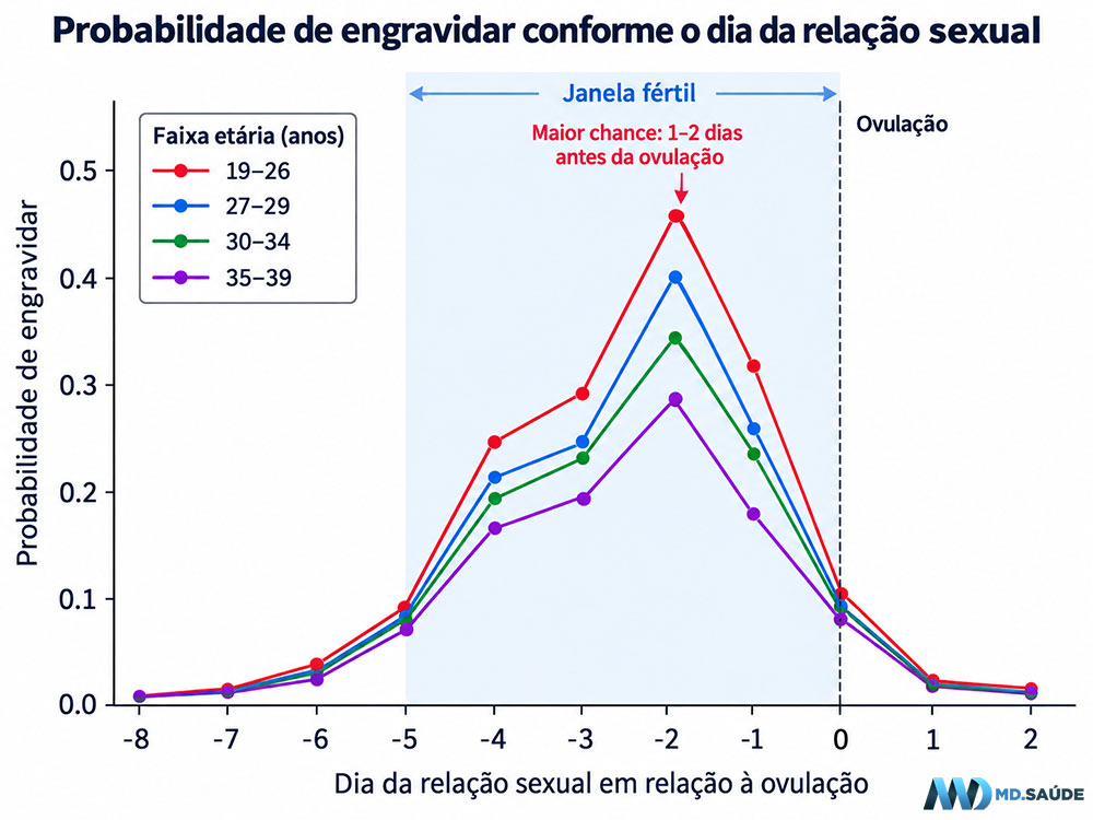 Melhores dias para engravidar