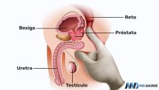 Onde fica cada órgão do corpo humano? | MD.Saúde