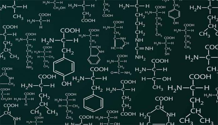proteinas-aminoacidos aminoacidos