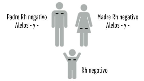 Padre y madre Rh negativo