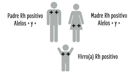 Padre y madre Rh positivo