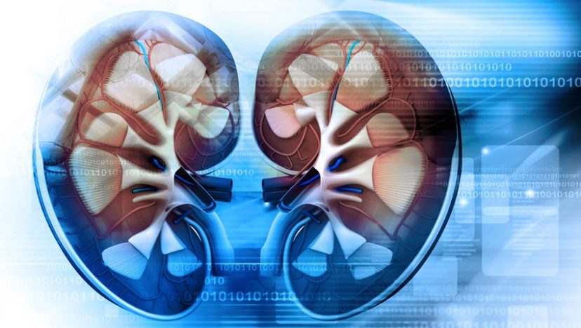 10 síntomas de los riñones (enfermedades renales)