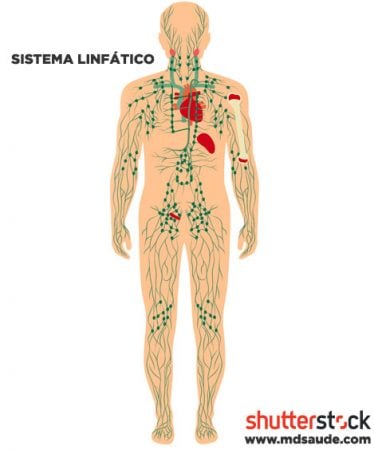 Sistema linfático e linfonodos