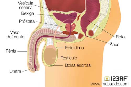 Pastile Pentru Adenom De Prostata