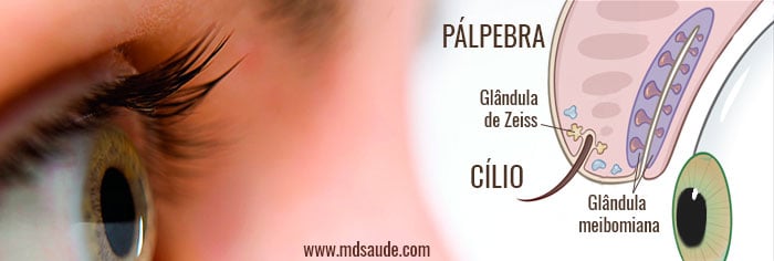 Calázio no olho: o que é, sintomas, causas e tratamento - Tua Saúde