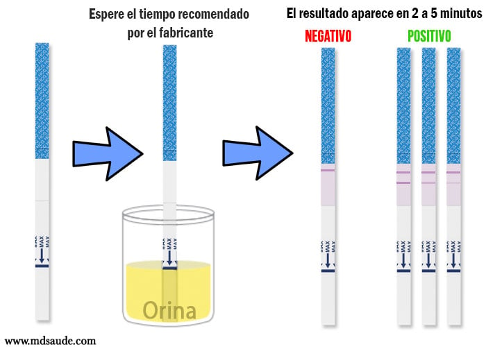 Cuándo hacer un test de embarazo para que sea fiable?