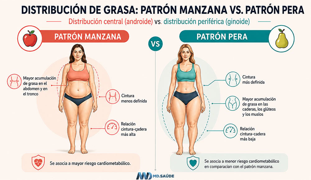Distribución central y periférica de la grasa corporal