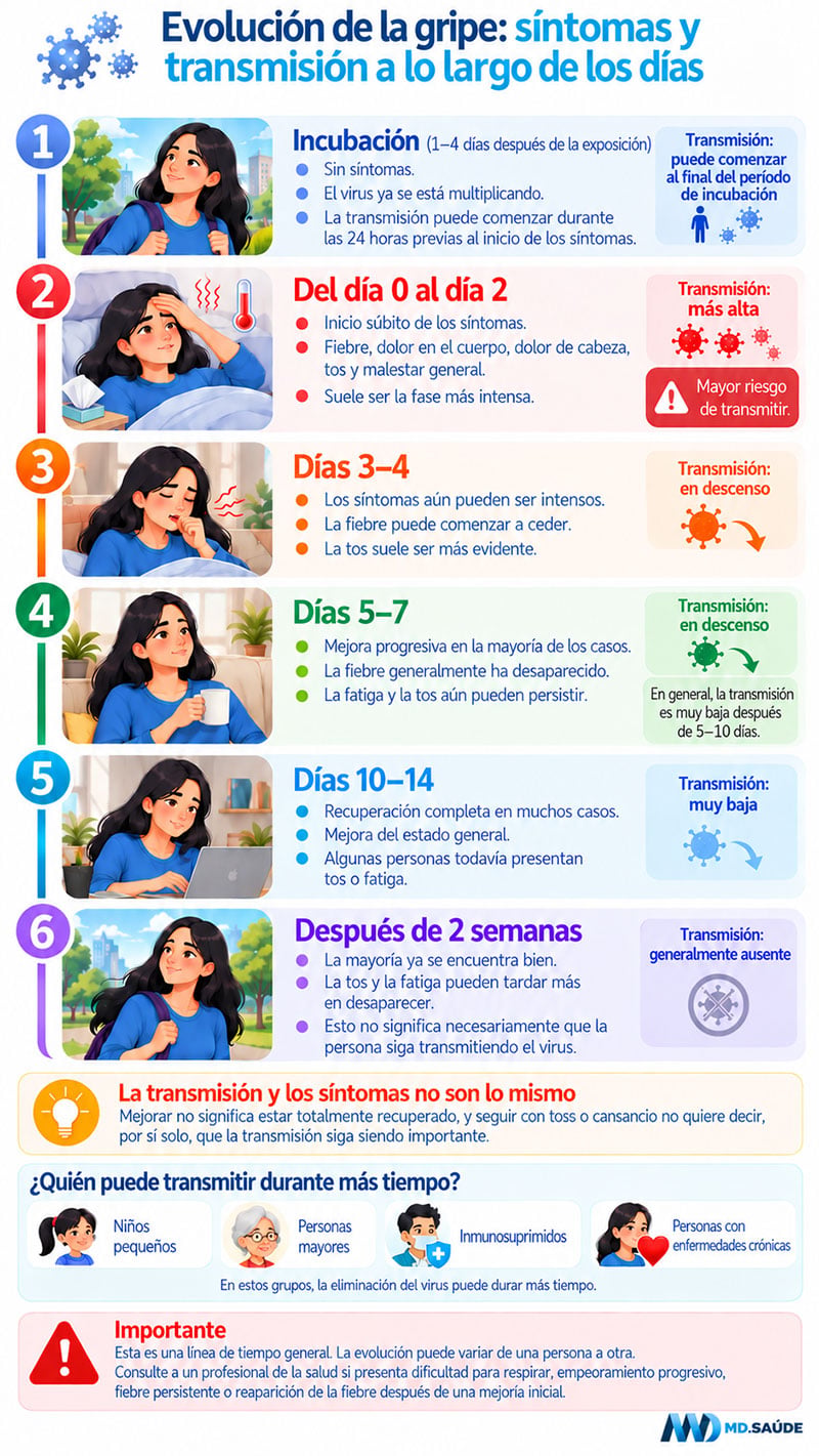 Infografía sobre la evolución de la gripe, mostrando los síntomas y el nivel de transmisión desde el período de incubación hasta después de dos semanas.