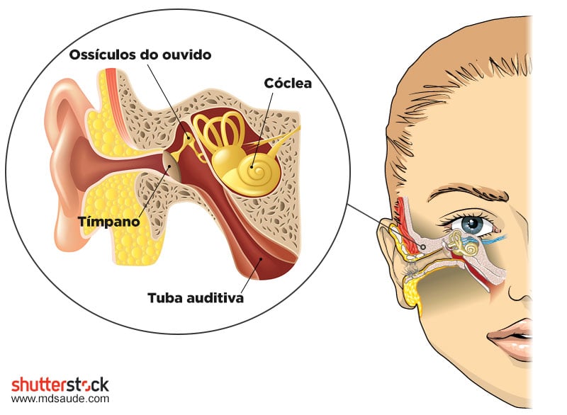 8 Causas de dores no ouvida uqe não tem origem no ouvido.