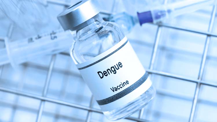 Vacina da dengue